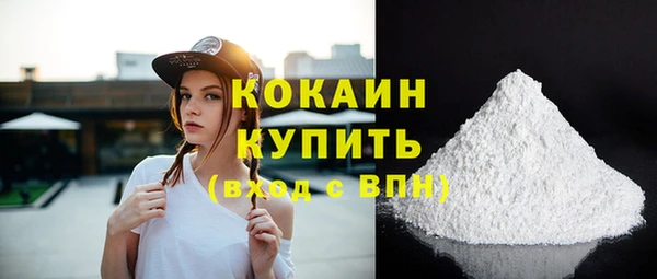 гидра Абаза