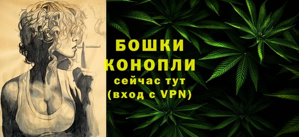 гидра Абаза