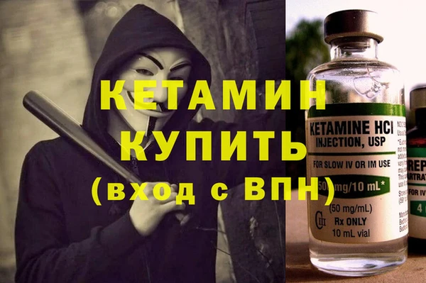 гидра Абаза