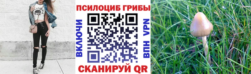 Галлюциногенные грибы ЛСД  Симферополь 