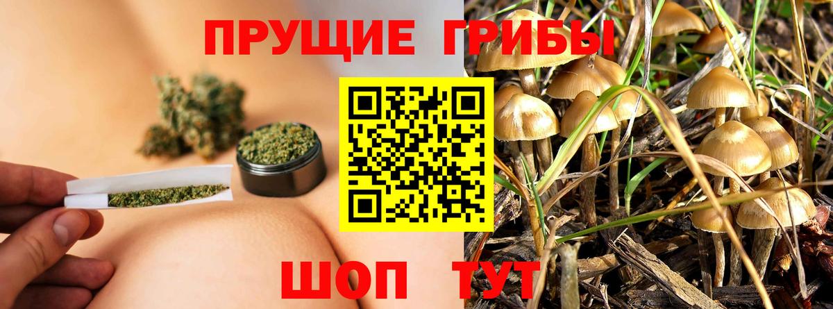 Псилоцибиновые грибы MAGIC MUSHROOMS  Вход с VPN  Псилоцибиновые грибы Cubensis  Симферополь 