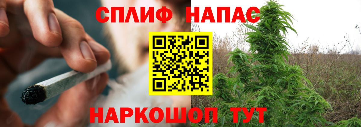 Конопля марихуана  Вход с VPN  Симферополь  Конопля конопля  Канабис планчик 
